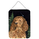 American Water Spaniel Aluminium Metal Wall or Door Hanging Prints