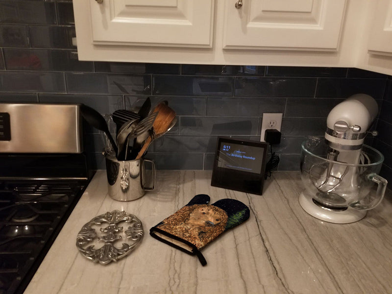 American Water Spaniel Oven Mitt SS8510OVMT