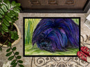 Briard Doormat Indoor Outdoor 24H X 36W Front Door Mat Rugs for Entryway, Non Slip Washable Low Pile,
