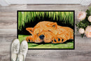 Chow Chow Doormat Indoor Outdoor 24H X 36W Front Door Mat Rugs for Entryway, Non Slip Washable Low Pile,