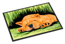 Chow Chow Doormat Indoor Outdoor 24H X 36W Front Door Mat Rugs for Entryway, Non Slip Washable Low Pile,