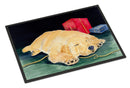 Golden Retriever Doormat Indoor Outdoor 18H X 27W Front Door Mat Rugs for Entryway, Non Slip Washable