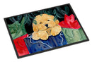 Golden Retriever Doormat Indoor Outdoor 18H X 27W Front Door Mat Rugs for Entryway, Non Slip Washable