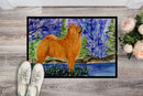 Chow Chow Doormat Indoor Outdoor 24H X 36W Front Door Mat Rugs for Entryway, Non Slip Washable Low Pile,