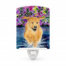 Golden Retriever Ceramic Night Light Compact, UL-Certified, Ideal for Bedroom, Bathroom, Nursery, Hallway, Kitchen, 6x4x3, Multicolor