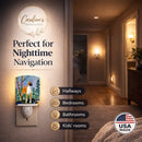 Boxer Ceramic Night Light Compact, UL-Certified, Ideal for Bedroom, Bathroom, Nursery, Hallway, Kitchen, 6x4x3, Multicolor