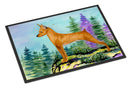 Min Pin Doormat Indoor Outdoor 24H X 36W Front Door Mat Rugs for Entryway, Non Slip Washable Low Pile,