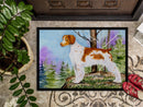 Setter Doormat Indoor Outdoor 24H X 36W Front Door Mat Rugs for Entryway, Non Slip Washable Low Pile,