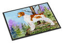 Setter Doormat Indoor Outdoor 24H X 36W Front Door Mat Rugs for Entryway, Non Slip Washable Low Pile,