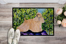 Cocker Spaniel Doormat Indoor Outdoor 24H X 36W Front Door Mat Rugs for Entryway, Non Slip Washable Low Pile,
