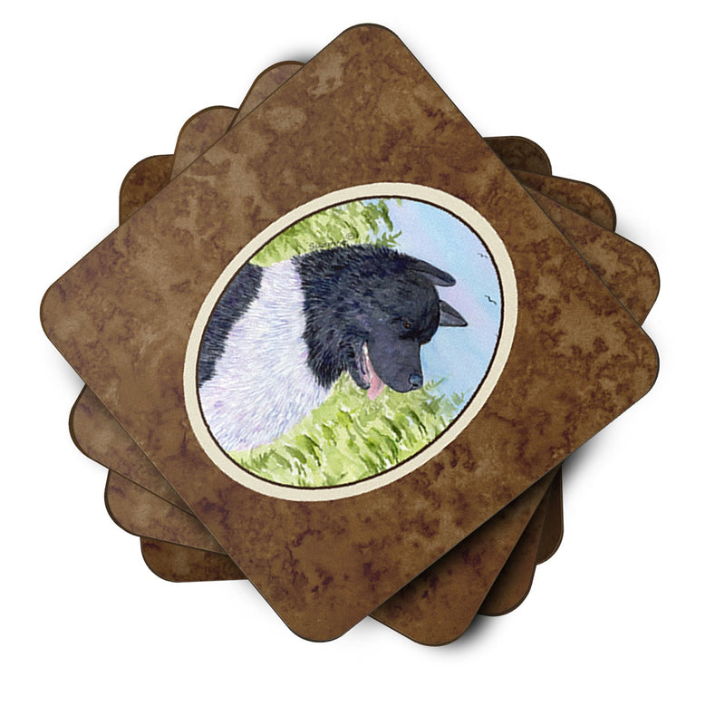 Akita Coasters - Set of 4 Lightweight Foam, Absorbent Drink Coasters
