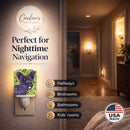 Skye Terrier Ceramic Night Light Compact, UL-Certified, Ideal for Bedroom, Bathroom, Nursery, Hallway, Kitchen, 6x4x3, Multicolor