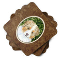 Australian Shepherd Foam Coasters Set of 4 Cup Coasters for Indoor Outdoor, Tabletop Protection, Anti Slip, Mouse pad Material