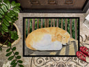 Golden Retriever Doormat Indoor Outdoor 24H X 36W Front Door Mat Rugs for Entryway, Non Slip Washable Low Pile,