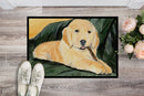 Golden Retriever Doormat Indoor Outdoor 24H X 36W Front Door Mat Rugs for Entryway, Non Slip Washable Low Pile,
