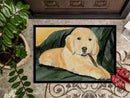 Golden Retriever Doormat Indoor Outdoor 24H X 36W Front Door Mat Rugs for Entryway, Non Slip Washable Low Pile,