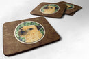 Border Terrier Coasters - Set of 4 Lightweight Foam, Absorbent Drink Coasters