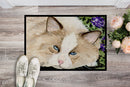 Cat Doormat Indoor Outdoor 24H X 36W Front Door Mat Rugs for Entryway, Non Slip Washable Low Pile,