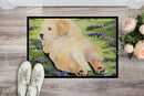 Golden Retriever Doormat Indoor Outdoor 24H X 36W Front Door Mat Rugs for Entryway, Non Slip Washable Low Pile,
