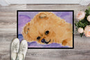 Pomeranian Doormat Indoor Outdoor 24H X 36W Front Door Mat Rugs for Entryway, Non Slip Washable Low Pile,