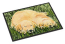 Golden Retriever Doormat Indoor Outdoor 24H X 36W Front Door Mat Rugs for Entryway, Non Slip Washable Low Pile,