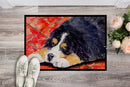 Bernese Mountain Dog Doormat Indoor Outdoor 24H X 36W Front Door Mat Rugs for Entryway, Non Slip Washable Low Pile,