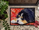 Bernese Mountain Dog Doormat Indoor Outdoor 24H X 36W Front Door Mat Rugs for Entryway, Non Slip Washable Low Pile,