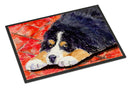 Bernese Mountain Dog Doormat Indoor Outdoor 24H X 36W Front Door Mat Rugs for Entryway, Non Slip Washable Low Pile,