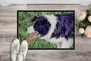 Border Collie Doormat - 24x36 Decorative Floor Mat – Indoor/Outdoor Rug with Artistic Flair Doormat