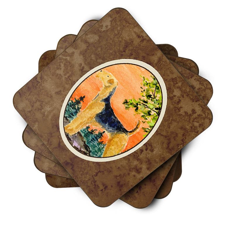 Airedale Coasters - Set of 4 Lightweight Foam, Absorbent Drink Coasters