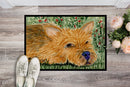 Norwich Terrier Doormat Indoor Outdoor 24H X 36W Front Door Mat Rugs for Entryway, Non Slip Washable Low Pile,