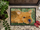 Norwich Terrier Doormat Indoor Outdoor 24H X 36W Front Door Mat Rugs for Entryway, Non Slip Washable Low Pile,
