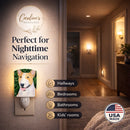 Bull Terrier Ceramic Night Light Compact, UL-Certified, Ideal for Bedroom, Bathroom, Nursery, Hallway, Kitchen, 6x4x3, Multicolor
