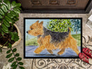 Norwich Terrier Doormat Indoor Outdoor 24H X 36W Front Door Mat Rugs for Entryway, Non Slip Washable Low Pile,