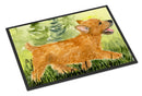 Norwich Terrier Doormat Indoor Outdoor 18H X 27W Front Door Mat Rugs for Entryway, Non Slip Washable