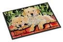 Golden Retriever Doormat Indoor Outdoor 18H X 27W Front Door Mat Rugs for Entryway, Non Slip Washable