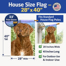 Chesapeake Bay Retriever House Flag 28x40 Porch Sleeve Pole Decorative Outside Yard Banner Artwork Wall Hanging, Polyester