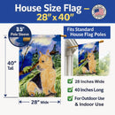 Norwich Terrier House Flag 28x40 Porch Sleeve Pole Decorative Outside Yard Banner Artwork Wall Hanging, Polyester