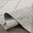 Baqer Taupe & Gray Textured Performance Rug - Clearance