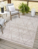 Nyla Bone Indoor & Outdoor Rug - 2x3 Clearance
