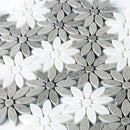 Eastern Brown White 11x12 Polished Multi-shaped Marble Mosaic Tile (5 pack, 4.46 sq ft/case) by Apollo Tile