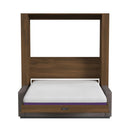 Wall Bed with Sofa