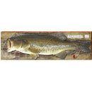 Alexandria, MN Bass | Wall Art Print on Real Wood