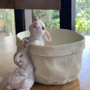 GobekUsa Lovely Rabbit Garden Flowerpot for Balcony Simulation and Garden Decor