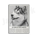 GobekUsa Black & White Dog Breeds Poster: Greyhound, Cocker Spaniel, Akita, Malamute, Cattle Dog