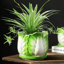 GobekUsa Cabbage Flowerpot with Tray | Creative Cartoon Vegetable Basin | Indoor Garden Flower Vase