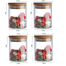 GobekUsa Glass Food Storage Jar with Lid for Kitchen Organization