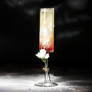 GobekUsa Bubble Champagne Glasses Set of 2 - Creative Goblets for Cocktail Parties