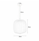 Spokes Birdcage Pendant Light in Polished Chrome