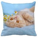 GobekUsa Bubble Black Cats Cat Pillow Cases Sofa Home Decor Custom Cushion Cover